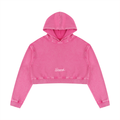 Mineral Washed Crop Hoodie