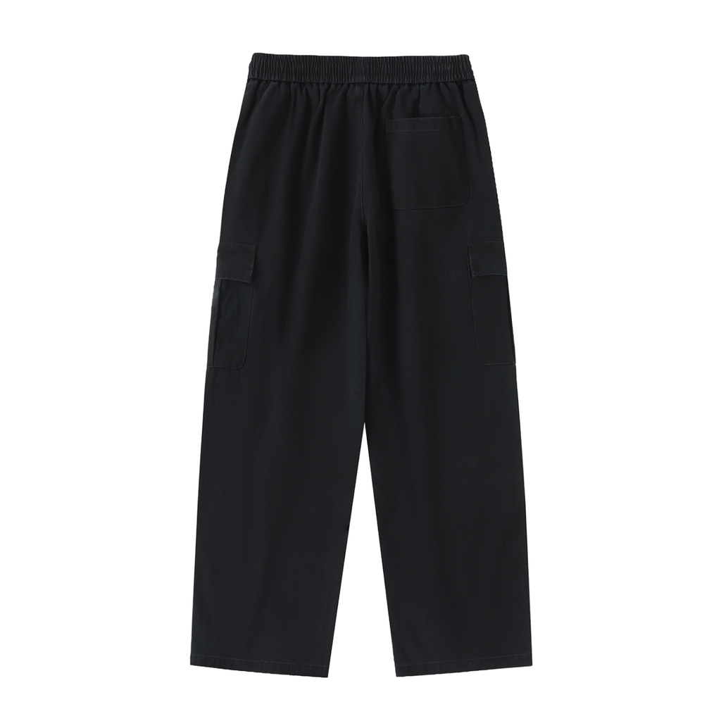 Picasso Cargos