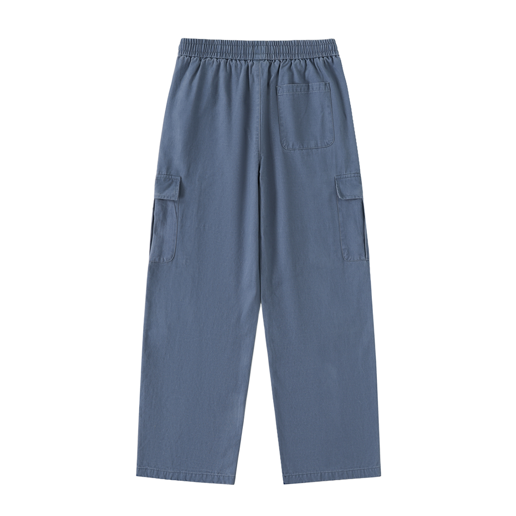 Picasso Cargos